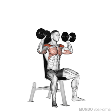 Desenvolvimento Ombros